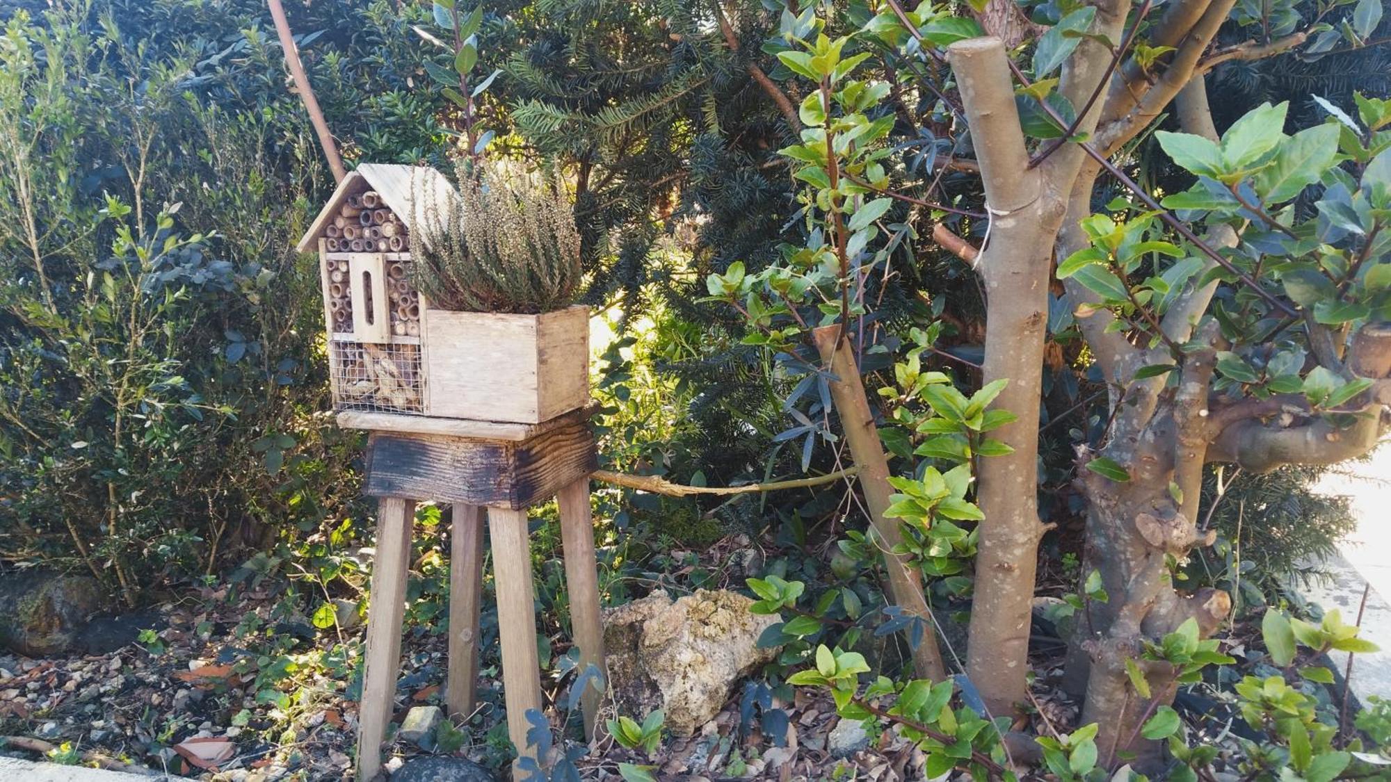 Casa Iriana - Parking Gratis I Jardin I Barbacoa Villa Ourense Exteriör bild