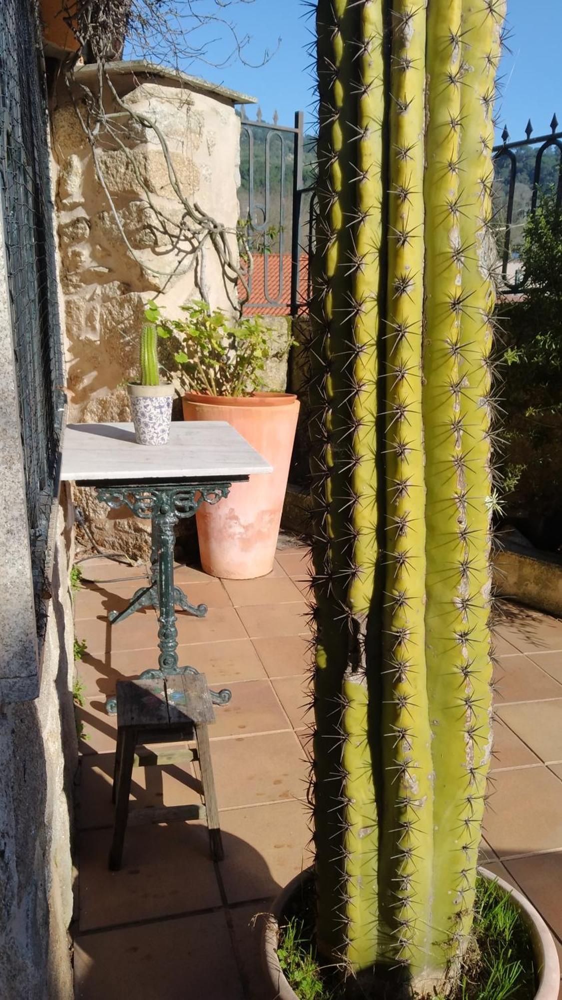 Casa Iriana - Parking Gratis I Jardin I Barbacoa Villa Ourense Exteriör bild